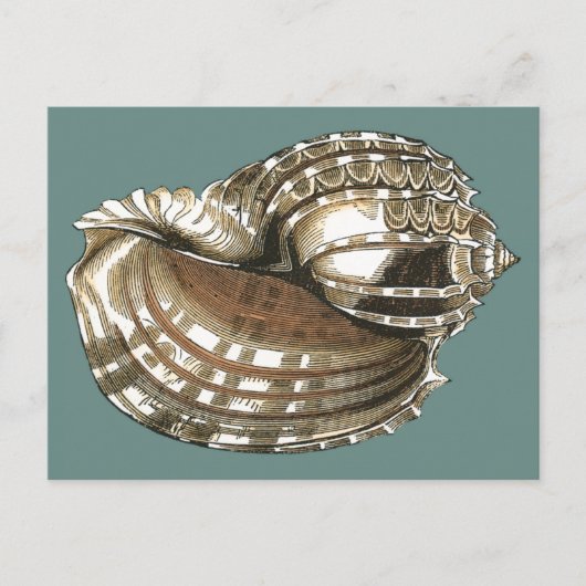 Ocean's Jewel Briefkaart (Voorkant)