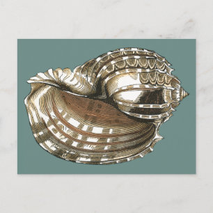 Ocean's Jewel Briefkaart