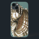 Ocean's Jewel iPhone 13 Hoesje<br><div class="desc">Een van de beste oceaanjuweel is in dit afbeelding. Vind deze grote Conch-zeeslag in dit omgevormde stuk moderne kunst. Dit grote Conch-seashell-afbeelding heeft een blauwgroen achtergrond en sepia en witte schelp. Ontspannen met dit geweldige stuk natuurwerk.</div>