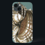 Ocean's Jewel Case-Mate iPhone Case<br><div class="desc">Een van de beste oceaanjuweel is in dit afbeelding. Vind deze grote Conch-zeeslag in dit omgevormde stuk moderne kunst. Dit grote Conch-seashell-afbeelding heeft een blauwgroen achtergrond en sepia en witte schelp. Ontspannen met dit geweldige stuk natuurwerk.</div>