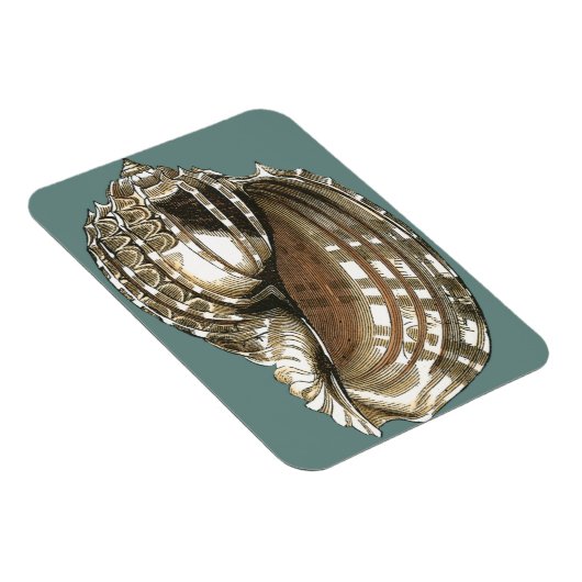 Ocean's Jewel Magneet (Rechterzijde)