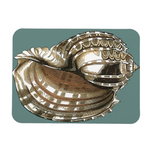 Ocean's Jewel Magneet (Horizontaal)