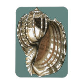 Ocean's Jewel Magneet (Verticaal)