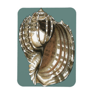 Ocean's Jewel Magneet