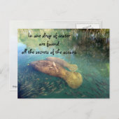 Ocean's Quote Briefkaart (Voorkant / Achterkant)