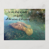 Ocean's Quote Briefkaart (Voorkant)