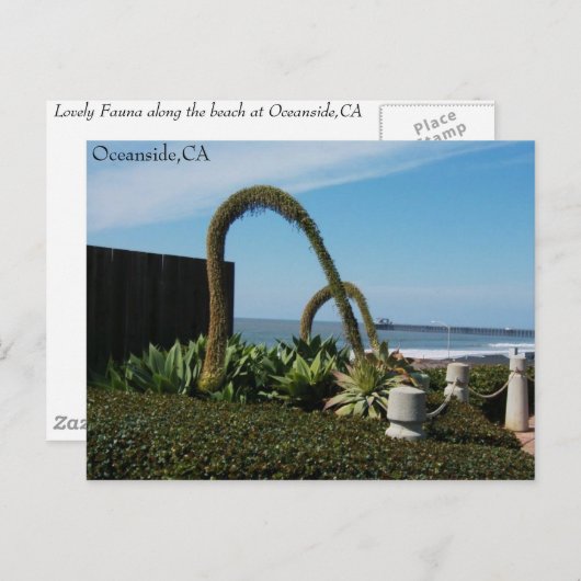 Oceanside, CA, Oceanside, CA Briefkaart (Voorkant / Achterkant)