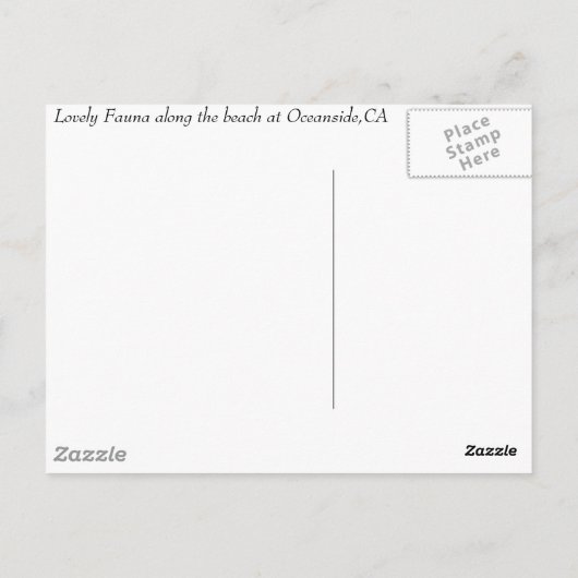 Oceanside, CA, Oceanside, CA Briefkaart (Achterkant)