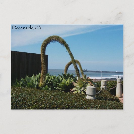 Oceanside, CA, Oceanside, CA Briefkaart (Voorkant)