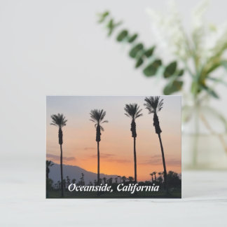 Oceanside Californië Sinaasappel Sunset Palmbomen Briefkaart