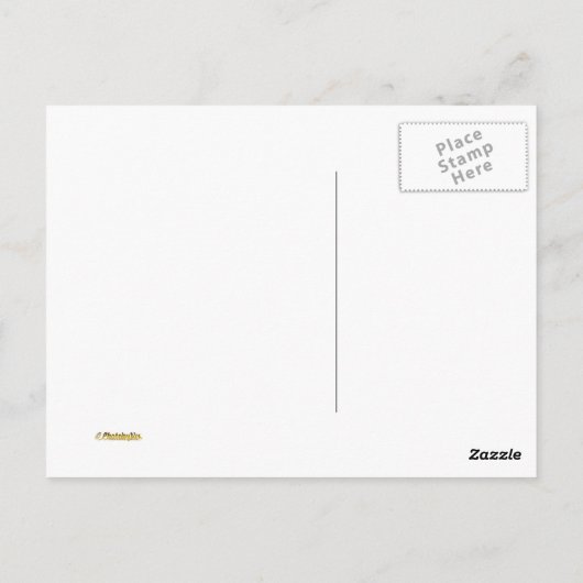 Oceanside Pier Sunset Briefkaart (Achterkant)