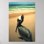 Oceanus: Pelican Poster (Voorkant)