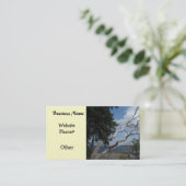 Oceanview met unieke structuur visitekaartje (Staand voorkant)