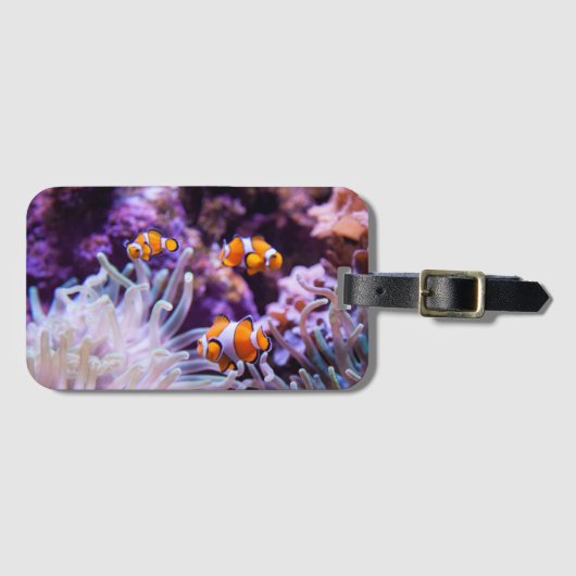 Ocellaris Clownfish | Amphiprion Ocellaris Bagagelabel (Voorkant (horizontaal))