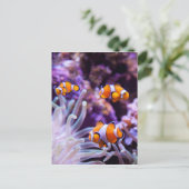 Ocellaris Clownfish | Amphiprion Ocellaris Briefkaart (Staand voorkant)