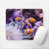 Ocellaris Clownfish | Amphiprion Ocellaris Muismat (Met muis)