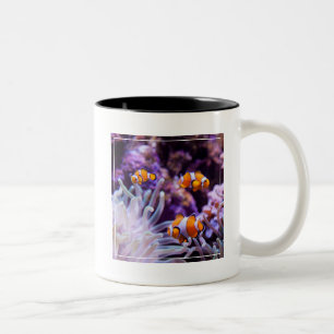 Ocellaris Clownfish Amphiprion Ocellaris Tweekleurige Koffiemok