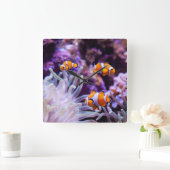 Ocellaris Clownfish | Amphiprion Ocellaris Vierkante Klok (Huis)