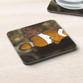 Ocellaris Clownfish Drankjes Onderzetter (Linkerzijde)