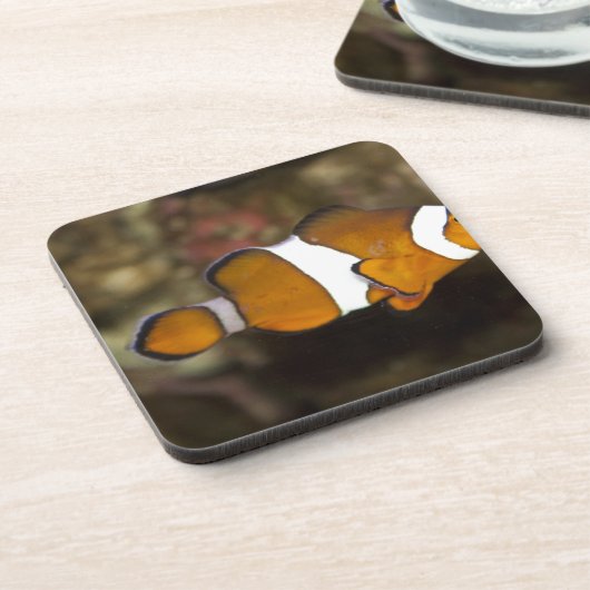 Ocellaris Clownfish Drankjes Onderzetter (Linkerzijde)