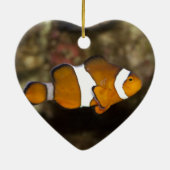 Ocellaris Clownfish Keramisch Ornament (Achterkant)