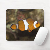 Ocellaris Clownfish Muismat (Met muis)