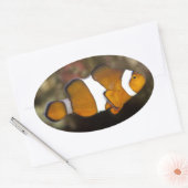 Ocellaris Clownfish Ovale Sticker (Envelop)