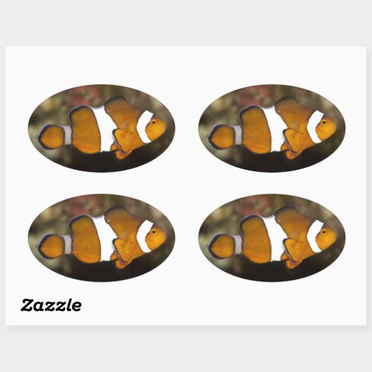 Ocellaris Clownfish Ovale Sticker (Vel)