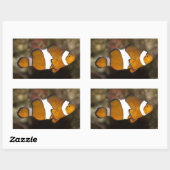 Ocellaris Clownfish Rechthoekige Sticker (Vel)