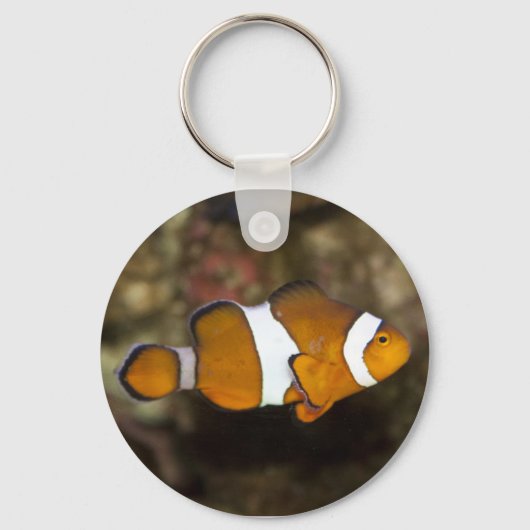 Ocellaris Clownfish Sleutelhanger (Voorkant)