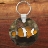 Ocellaris Clownfish Sleutelhanger (Voorkant)