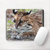 Ocelot 02 11x11 muismat (Met muis)