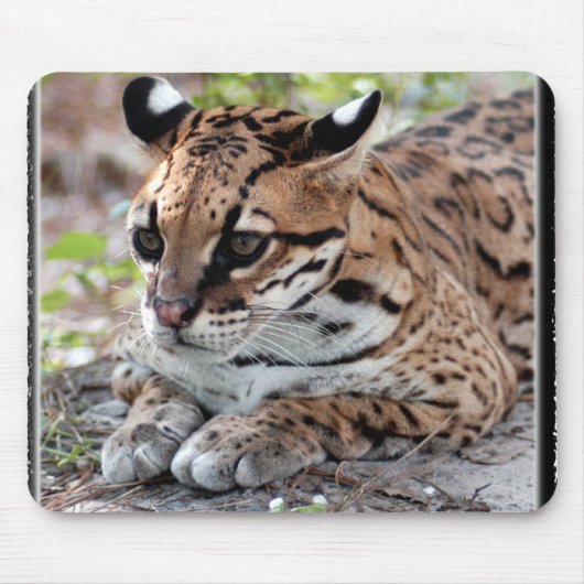 Ocelot 02 11x11 muismat (Voorkant)