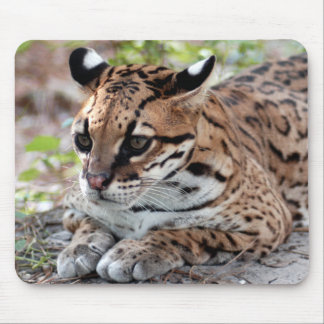 Ocelot 02 9x9 muismat