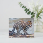 ocelot baby4x6 briefkaart (Staand voorkant)