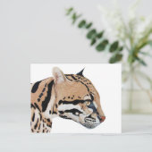 Ocelot Briefkaart (Staand voorkant)