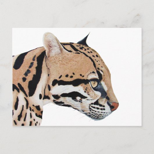 Ocelot Briefkaart (Voorkant)