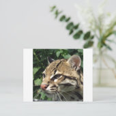 Ocelot Briefkaart (Staand voorkant)
