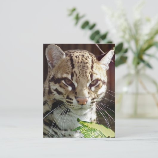 Ocelot Briefkaart (Staand voorkant)