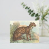 Ocelot Briefkaart (Staand voorkant)