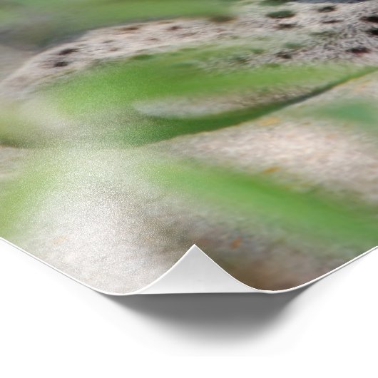 Ocelot Closeup Foto Afdruk (Hoek)