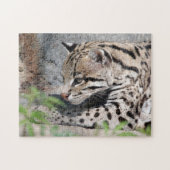 Ocelot Closeup Legpuzzel (Horizontaal)