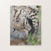Ocelot Closeup Legpuzzel (Verticaal)