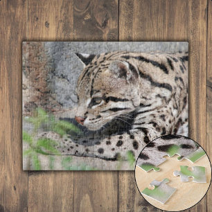 Ocelot Closeup Legpuzzel