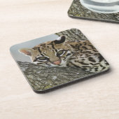 Ocelot, Felis pardalis, gevangenschap, vrouw dat r Drankjes Onderzetter (Linkerzijde)