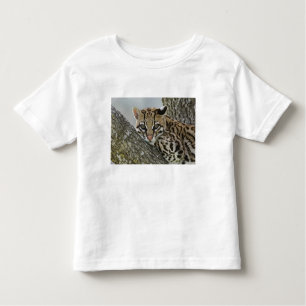 Ocelot, Felis pardalis, gevangenschap, vrouw dat r Kinder Shirts