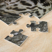 Ocelot, Felis pardalis, in gevangenschap, vrouwtje Legpuzzel (Zijkant)
