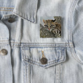Ocelot, Felis pardalis, in gevangenschap, vrouwtje Vierkante Button 5,1 Cm (In situ)