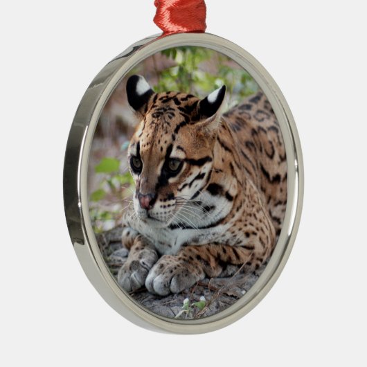 Ocelot kerstversiering metalen ornament (Rechts)