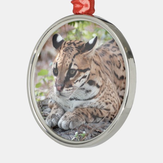 Ocelot kerstversiering metalen ornament (Links)